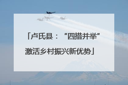 卢氏县：“四措并举”激活乡村振兴新优势