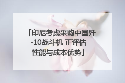 印尼考虑采购中国歼-10战斗机 正评估性能与成本优势