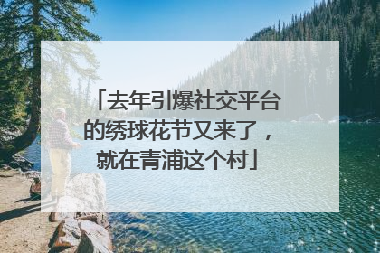去年引爆社交平台的绣球花节又来了，就在青浦这个村