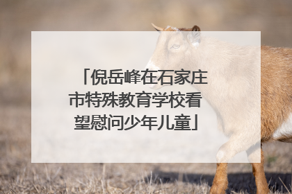 倪岳峰在石家庄市特殊教育学校看望慰问少年儿童