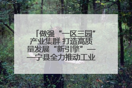 做强“一区三园”产业集群 打造高质量发展“新引擎”——宁县全力推动工业经济提质增效