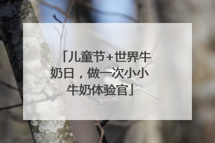 儿童节+世界牛奶日，做一次小小牛奶体验官