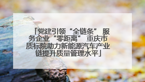 党建引领“全链条” 服务企业“零距离” 重庆市质标院助力新能源汽车产业链提升质量管理水平