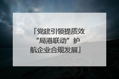 党建引领提质效 “局港联动”护航企业合规发展