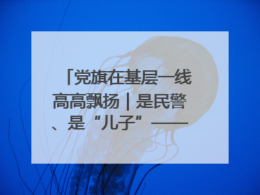 党旗在基层一线高高飘扬｜是民警、是“儿子”——申飞飞在太行山中的一线坚守