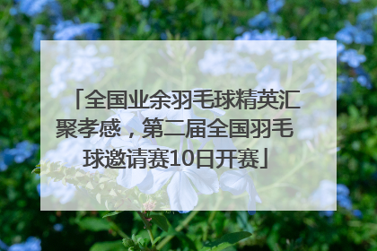 全国业余羽毛球精英汇聚孝感，第二届全国羽毛球邀请赛10日开赛