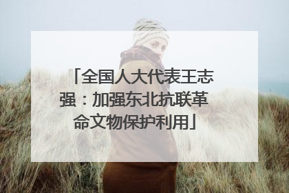 全国人大代表王志强：加强东北抗联革命文物保护利用
