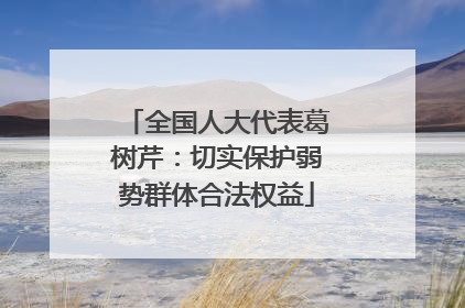 全国人大代表葛树芹：切实保护弱势群体合法权益