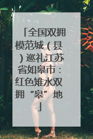全国双拥模范城（县）巡礼江苏省如皋市：红色雉水双拥“皋”地
