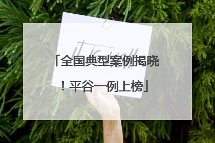 全国典型案例揭晓！平谷一例上榜