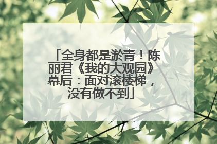 全身都是淤青！陈丽君《我的大观园》幕后：面对滚楼梯，没有做不到