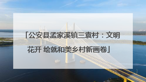 公安县孟家溪镇三袁村：文明花开 绘就和美乡村新画卷