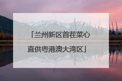 兰州新区首茬菜心直供粤港澳大湾区