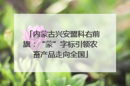 内蒙古兴安盟科右前旗：“蒙”字标引领农畜产品走向全国