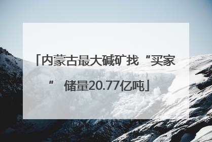 内蒙古最大碱矿找“买家” 储量20.77亿吨