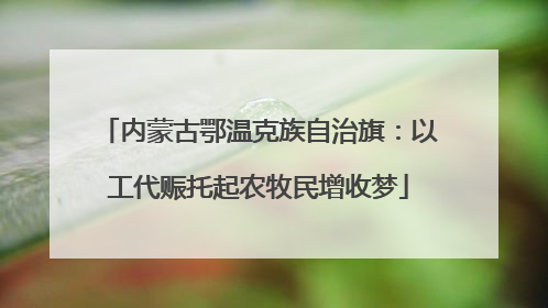 内蒙古鄂温克族自治旗：以工代赈托起农牧民增收梦