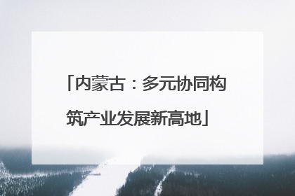 内蒙古：多元协同构筑产业发展新高地