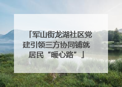 军山街龙湖社区党建引领三方协同铺就居民“暖心路”