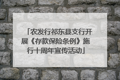 农发行祁东县支行开展《存款保险条例》施行十周年宣传活动