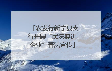 农发行新宁县支行开展“民法典进企业”普法宣传