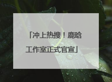 冲上热搜！鹿晗工作室正式官宣