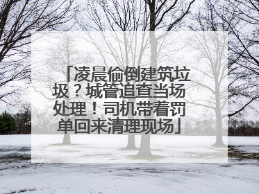 凌晨偷倒建筑垃圾？城管追查当场处理！司机带着罚单回来清理现场