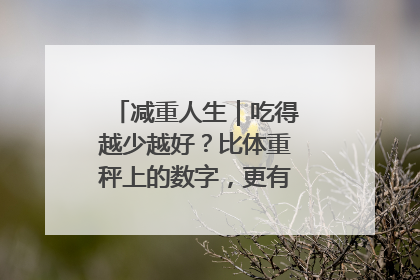 减重人生｜吃得越少越好？比体重秤上的数字，更有意义的是什么？
