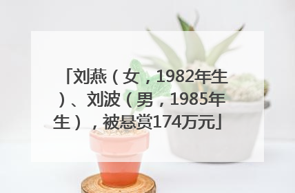 刘燕（女，1982年生）、刘波（男，1985年生），被悬赏174万元
