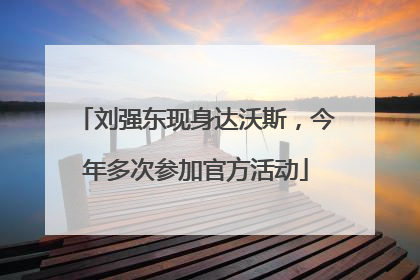 刘强东现身达沃斯，今年多次参加官方活动