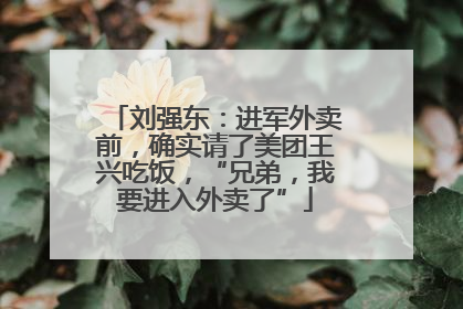 刘强东：进军外卖前，确实请了美团王兴吃饭，“兄弟，我要进入外卖了”