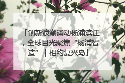 创新浪潮涌动杨浦滨江，全球目光聚焦“杨浦智造”｜相约复兴岛