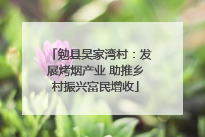 勉县吴家湾村：发展烤烟产业 助推乡村振兴富民增收