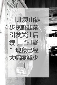 北灵山徒步挖野韭菜引发关注后续，“打野”现象已经大幅度减少