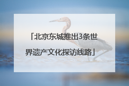 北京东城推出3条世界遗产文化探访线路