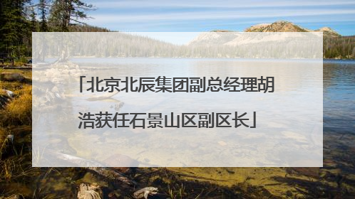 北京北辰集团副总经理胡浩获任石景山区副区长