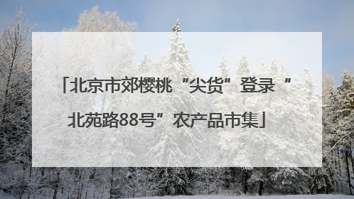 北京市郊樱桃“尖货”登录“北苑路88号”农产品市集
