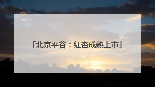 北京平谷：红杏成熟上市