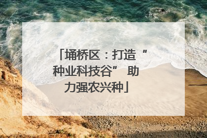 埇桥区：打造“种业科技谷” 助力强农兴种