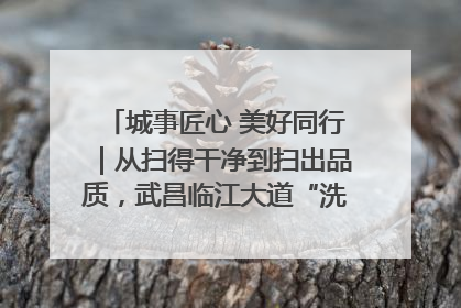 城事匠心 美好同行｜从扫得干净到扫出品质，武昌临江大道“洗”出洁净样板路