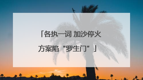 各执一词 加沙停火方案陷“罗生门”