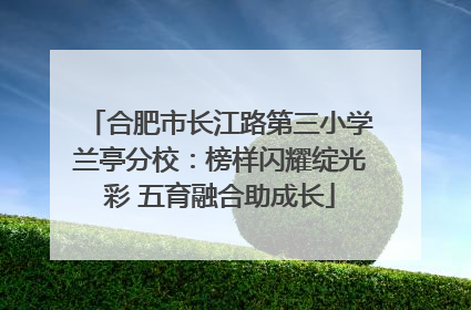 合肥市长江路第三小学兰亭分校：榜样闪耀绽光彩 五育融合助成长