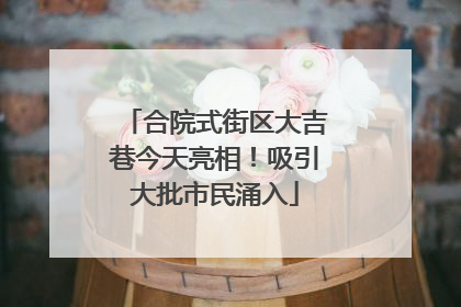 合院式街区大吉巷今天亮相！吸引大批市民涌入