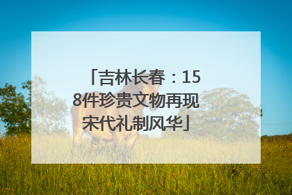 吉林长春：158件珍贵文物再现宋代礼制风华