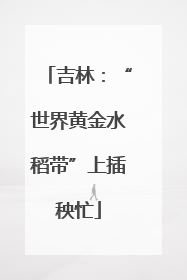 吉林：“世界黄金水稻带”上插秧忙