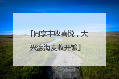 同享丰收喜悦，大兴瀛海麦收开镰