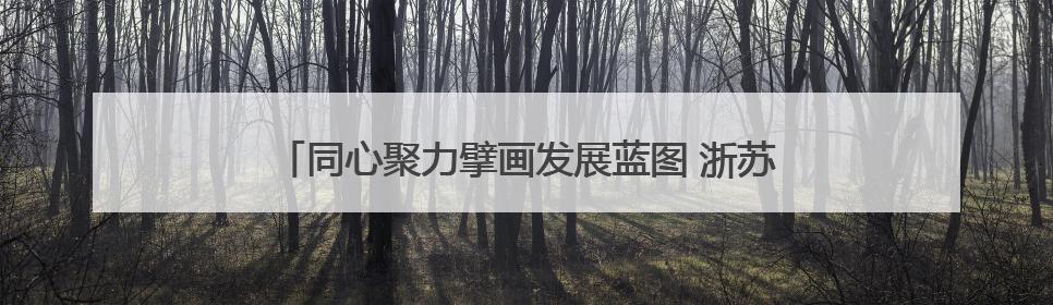 同心聚力擘画发展蓝图 浙苏皖三省毗邻区谱写协作新篇
