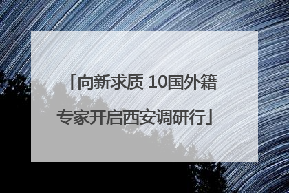 向新求质 10国外籍专家开启西安调研行