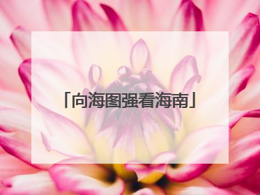 向海图强看海南