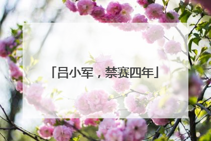 吕小军，禁赛四年