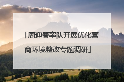 周迎春率队开展优化营商环境整改专题调研